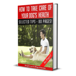 How to Take Care of Your Dog’s Health
